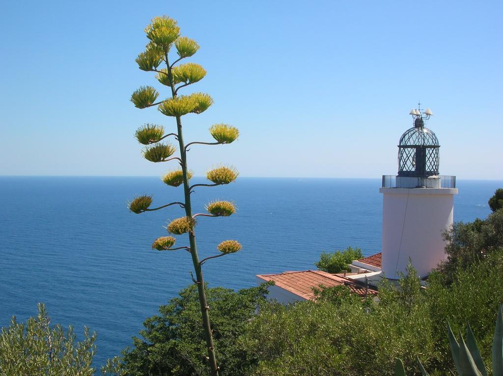 Apartament Antic Plankton - Calella Palafrugell - Free Parking, Beach, Wifi, Perfect Holidays Calella De Palafrugell Eksteriør bilde