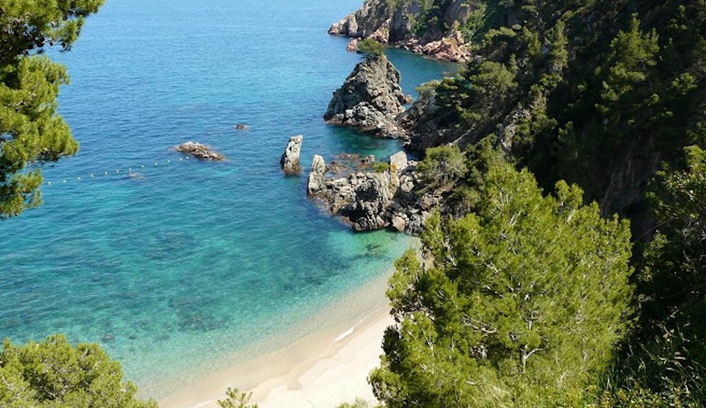 Apartament Antic Plankton - Calella Palafrugell - Free Parking, Beach, Wifi, Perfect Holidays Calella De Palafrugell Eksteriør bilde